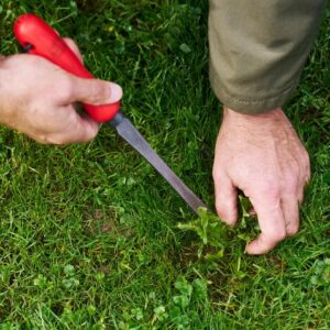 Felco 442 Onkruidsteker