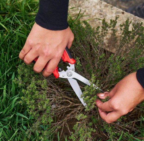 Felco 456 | Universele Tuinschaar Felco 456 | Universele Tuinschaar