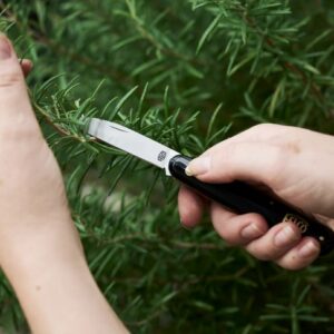 Felco 520 Bloemistenmes